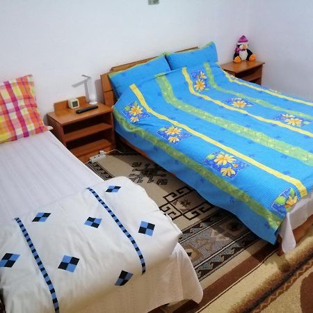 شقة Rustic House Turnu Măgurele المظهر الخارجي الصورة
