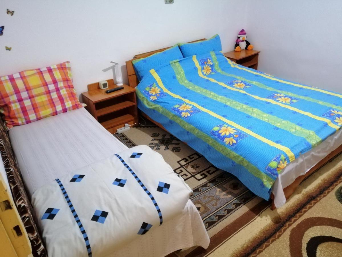 شقة Rustic House Turnu Măgurele المظهر الخارجي الصورة